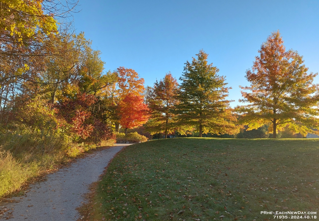71935CrLe - Chester and I Chester and I walking in Clayt French Park